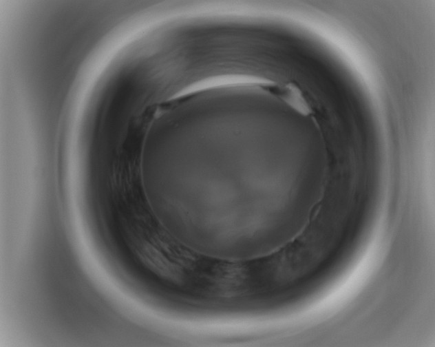 X0000113940143200910021310