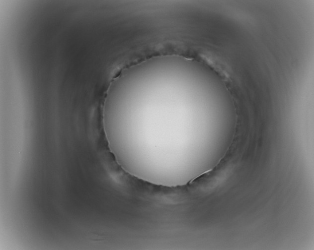 X0000113940144200910021310