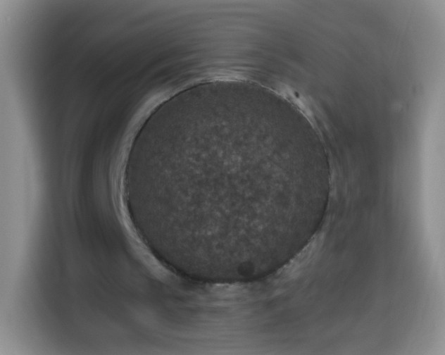 X0000113940145200910021309