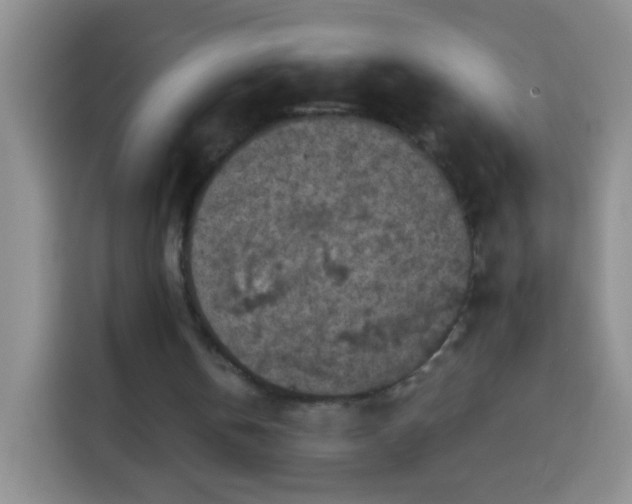 X0000113940146200910021309