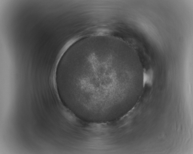 X0000113940147200910021309