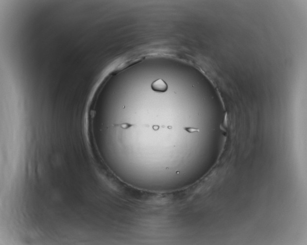 X0000113940148200910021309