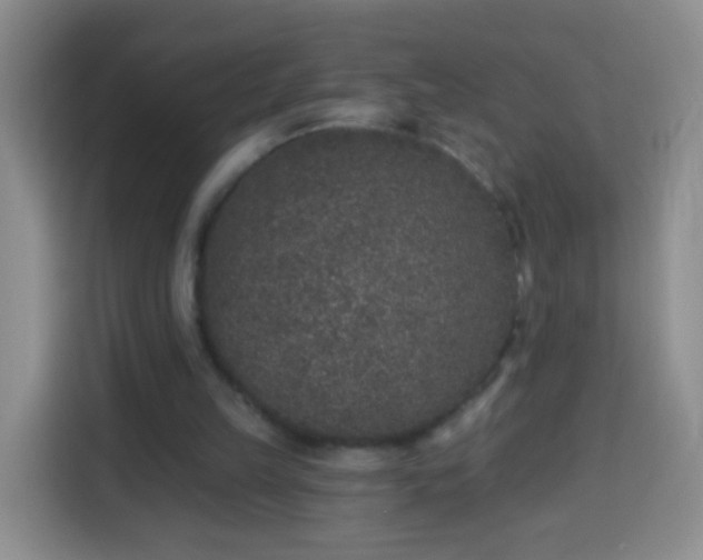 X0000113940149200910021309