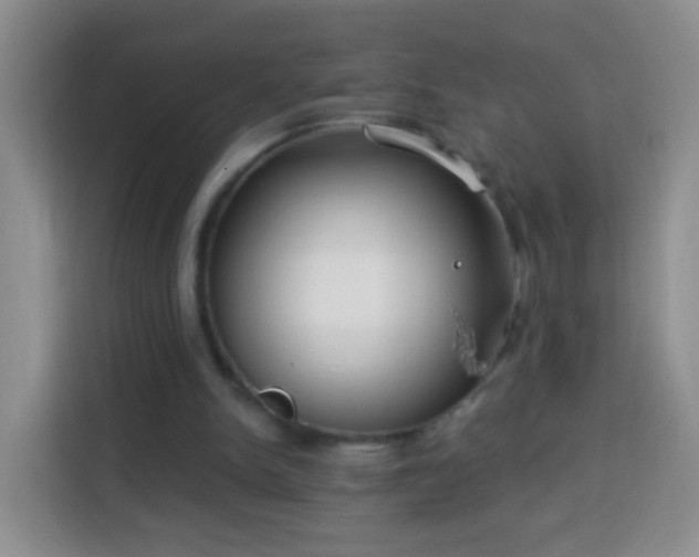 X0000113940150200910021309