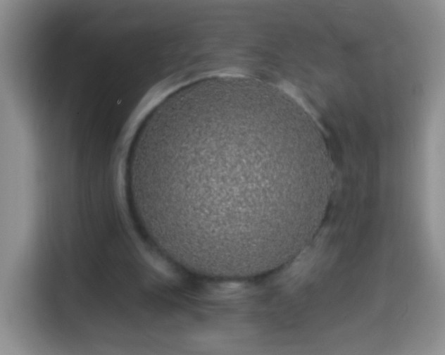 X0000113940151200910021309