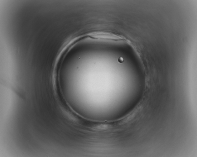 X0000113940152200910021309