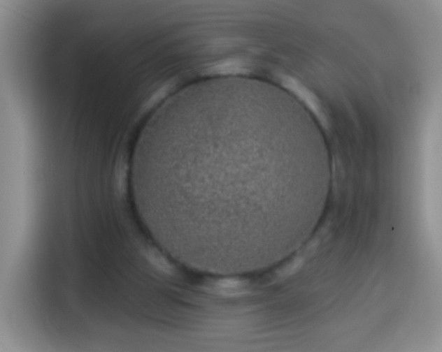 X0000113940153200910021309