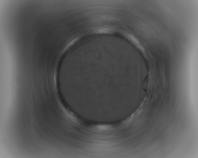 X0000113940154200910021309