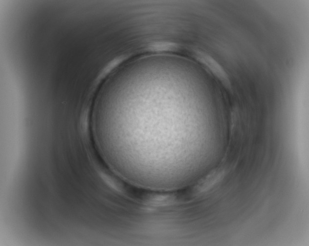 X0000113940155200910021309