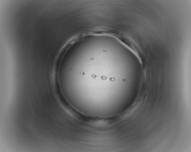 X0000113940156200910021309