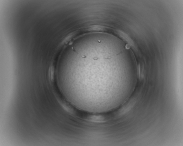 X0000113940157200910021309