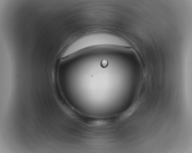 X0000113940158200910021309