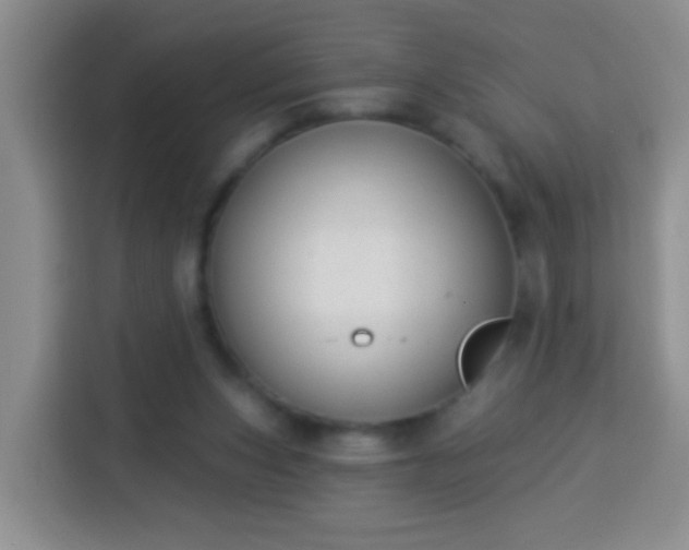 X0000113940159200910021309