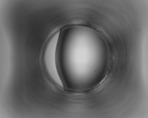 X0000113940160200910021309