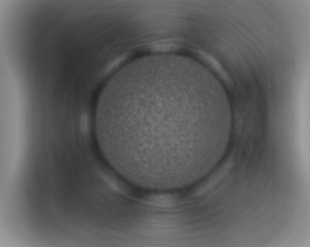 X0000113940161200910021309