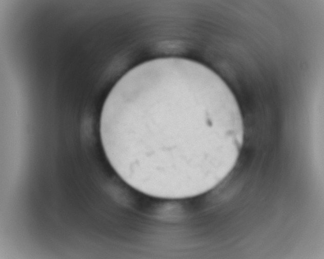 X0000113940162200910021309