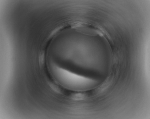 X0000113940163200910021309