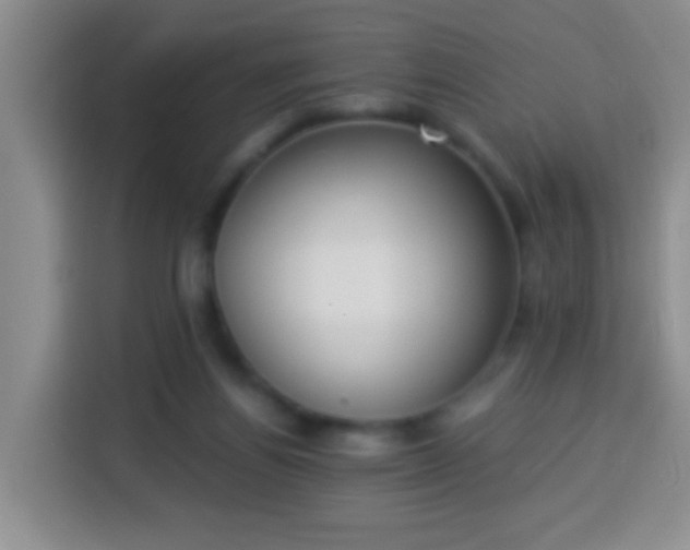 X0000113940164200910021309