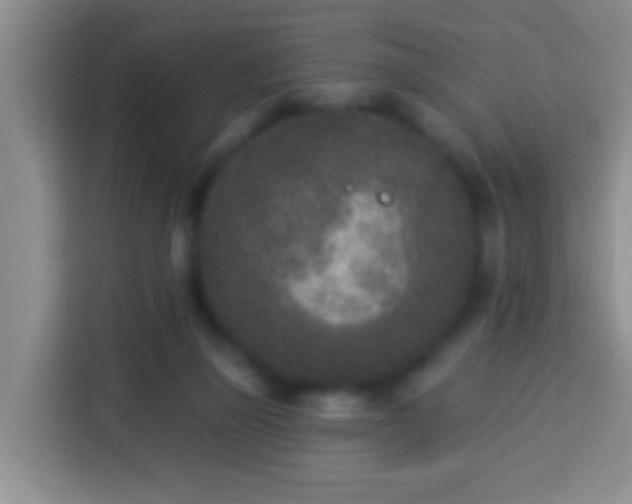 X0000113940165200910021309