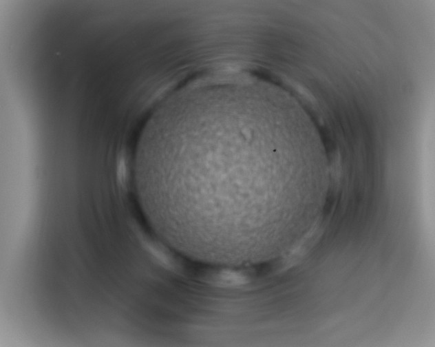 X0000113940166200910021309