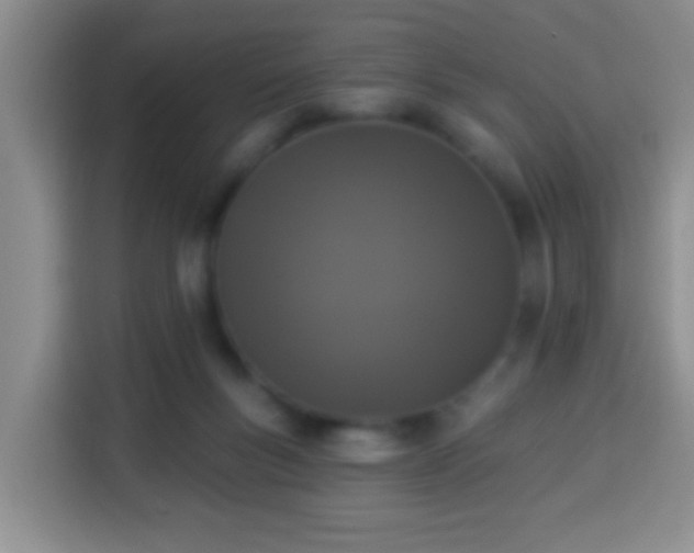 X0000113940167200910021309