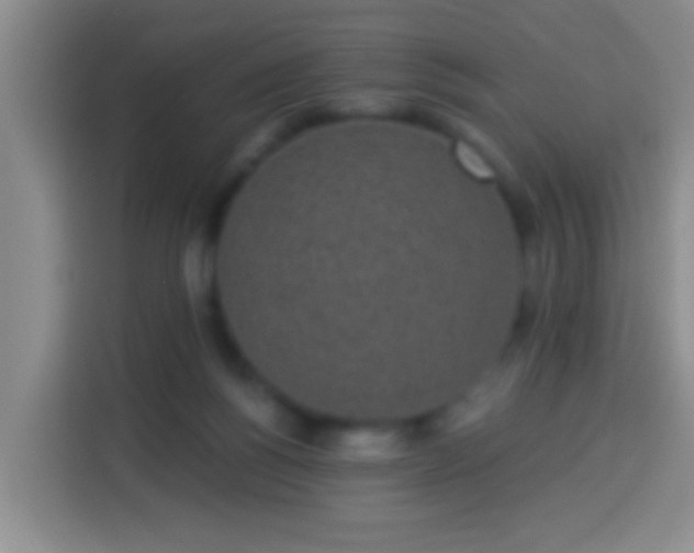 X0000113940168200910021309