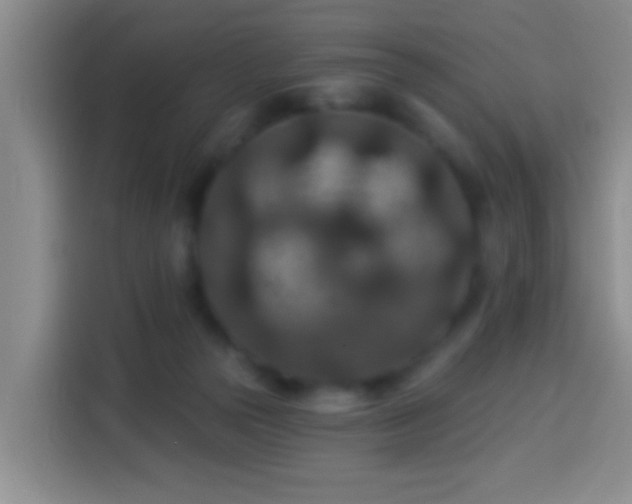 X0000113940169200910021309