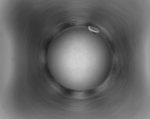 X0000113940170200910021309