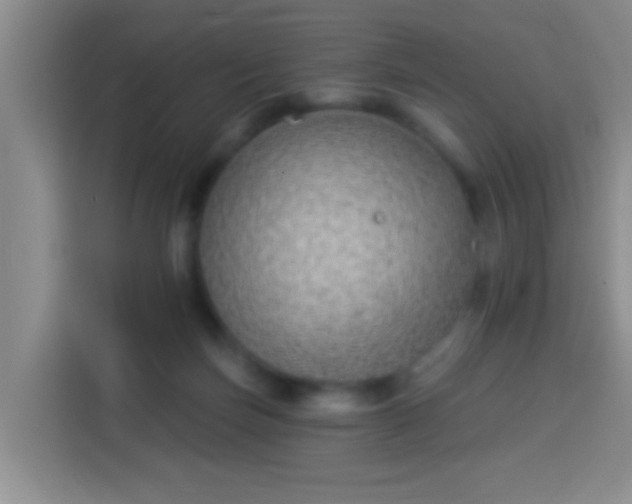 X0000113940171200910021309