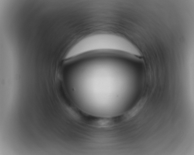 X0000113940172200910021309