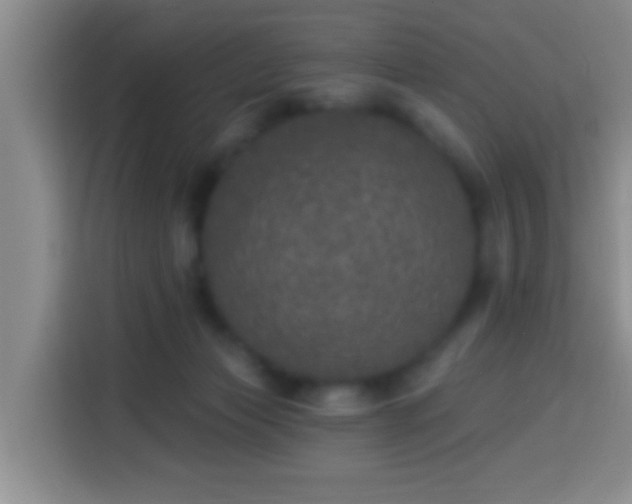 X0000113940173200910021309