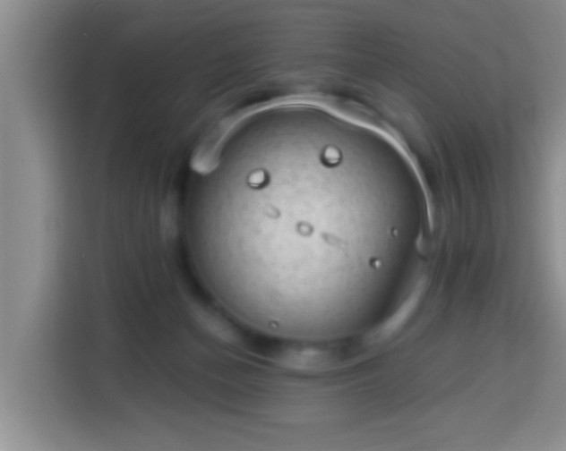 X0000113940174200910021309