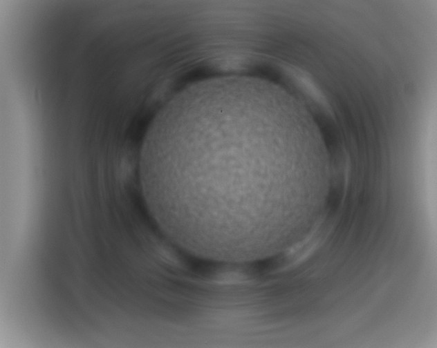 X0000113940175200910021309