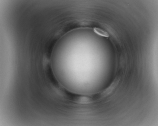 X0000113940176200910021309