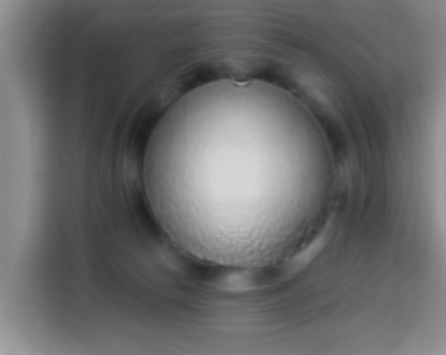 X0000113940178200910021310