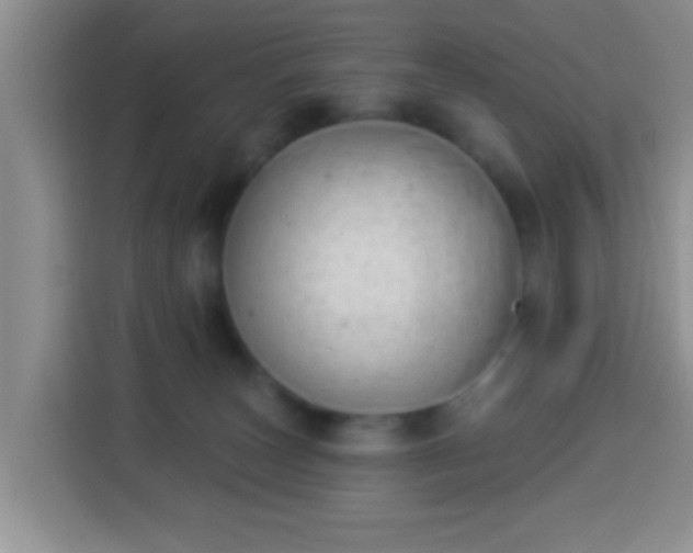 X0000113940179200910021310