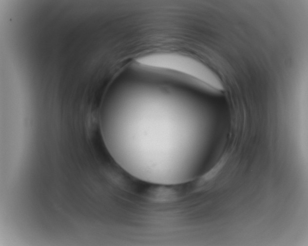 X0000113940180200910021310