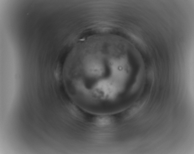 X0000113940181200910021310