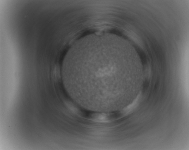 X0000113940182200910021310