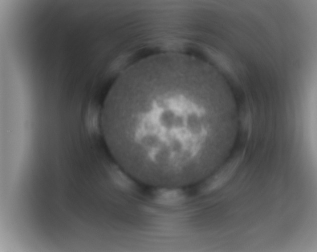 X0000113940185200910021310