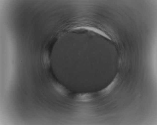 X0000113940186200910021310