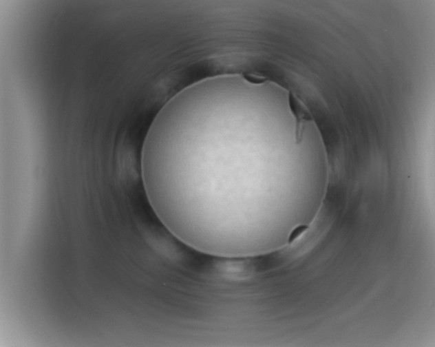 X0000113940187200910021310