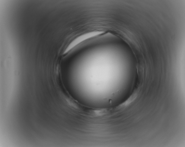 X0000113940188200910021310