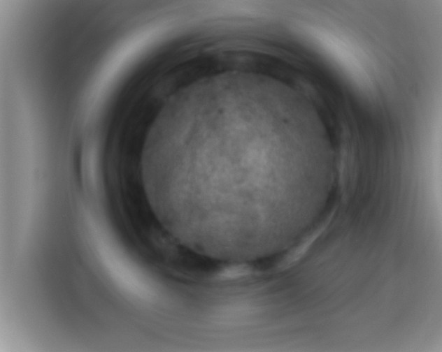 X0000113940189200910021310