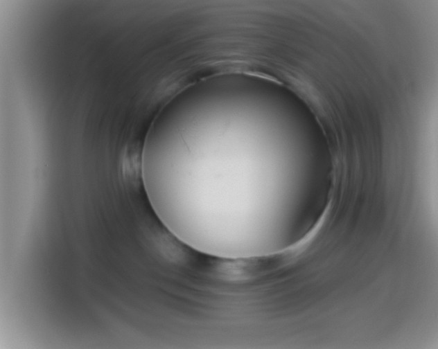 X0000113940190200910021310