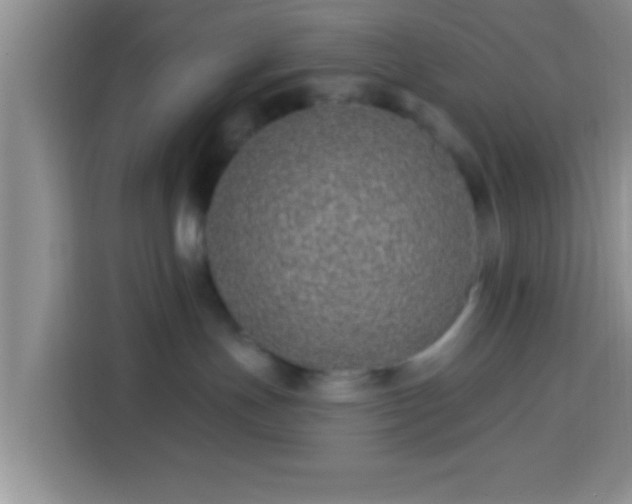 X0000113940191200910021310