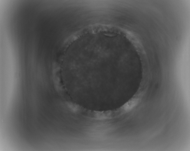 X0000113940192200910021310