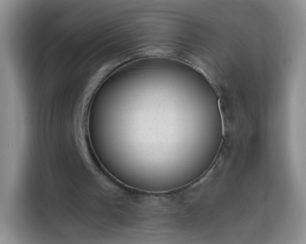 X0000113940193200910021309