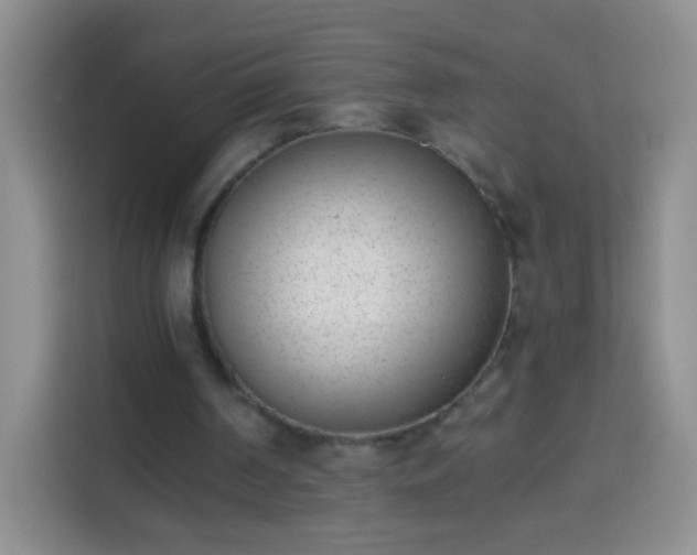 X0000113940194200910021309