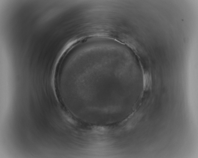 X0000113940195200910021309